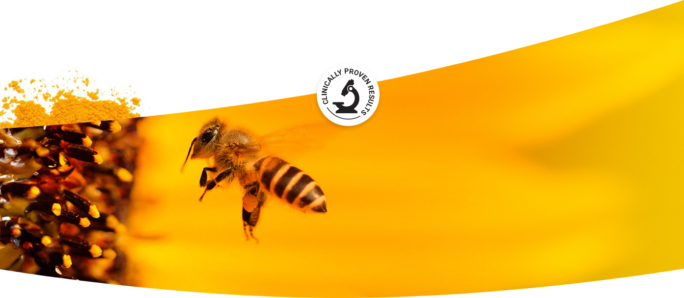 image_banner